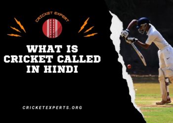 What Is Cricket Called In Hindi