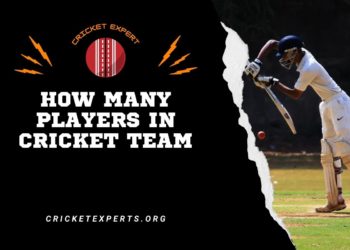 How Many Players In Cricket Team