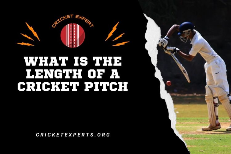 What Is The Length Of A Cricket Pitch